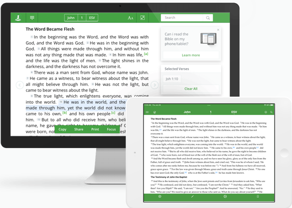 Web version with John 1:1 The Word Became Flesh display